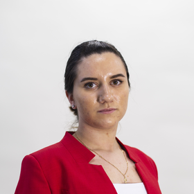 Мусаева Диана Рафиковна